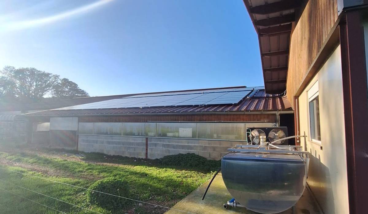Panneaux photovoltaïques installés sur la ferme des Aubracs