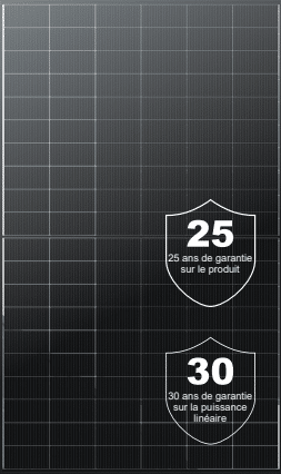 Panneau photovoltaïque DMEGC Solar